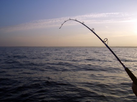 Pesca Sportiva sulla Costa Adriatica